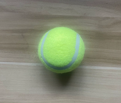 Lanzador de pelota para mascotas