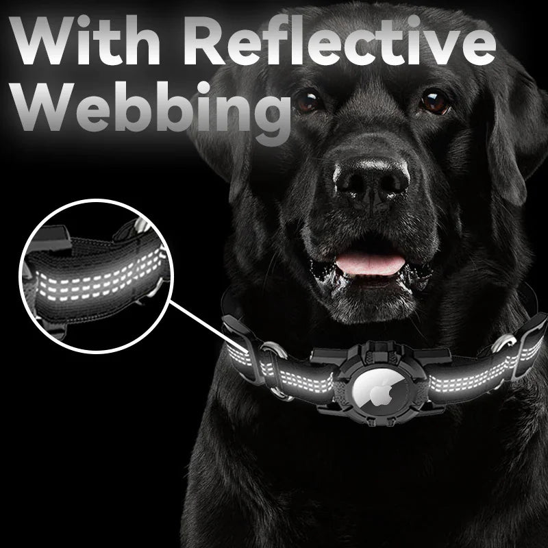 Collar para Perro Anti-pérdida con Función de Posicionamiento